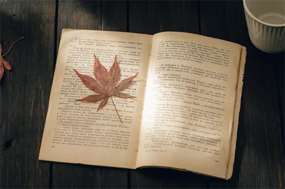 夜读｜建议假期可以做的8件事