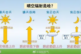 温度记｜昼夜温差10℃！春运首周，深圳气温开启“过山车”模式→图片
