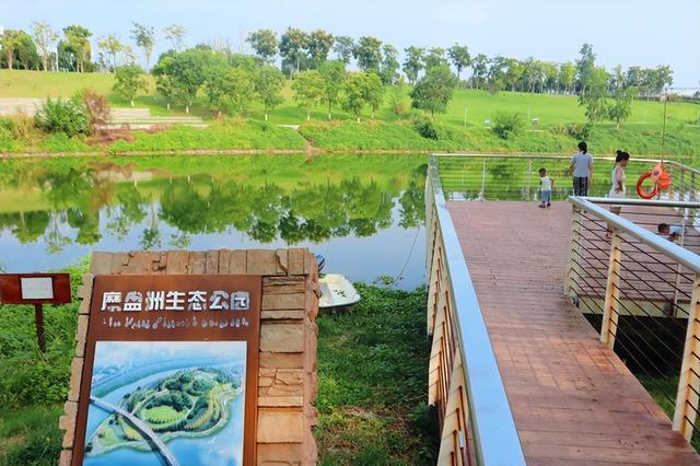长沙这个“狗尾巴草王国”，本地人都容易错过