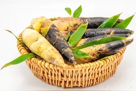 “无笋不成春”  好吃的春笋都有哪些讲究图片