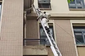 气温升高当心“蜂出没” 湘湖附近住宅小区同一天捣掉两个马蜂窝图片