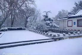 三月飞雪，章丘的公园银装素裹宛如仙境图片