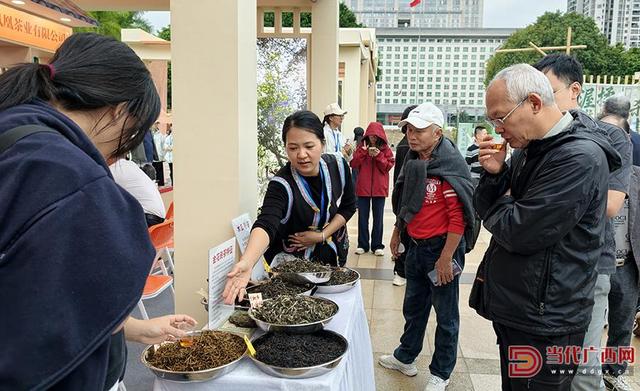2025黑茶名品展开启秋日茶文化之旅