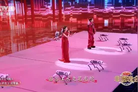 “上岗”非遗晚会后大火 云深处30多只机器狗被“借”光了图片