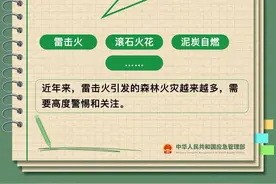 张家界多地发布禁火令！（内含森林防火必备知识）图片