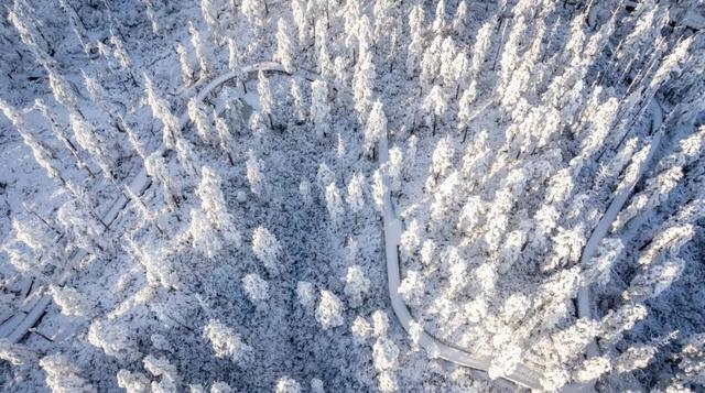 开奖啦！瓦屋山神龙礼包晒图大赛【获奖名单】出来啦！