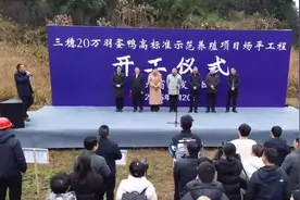 20万羽蛋鸭养殖高标准示范项目（场平工程）在三穗县开工图片