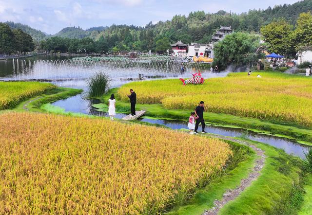 世界遗产村 国庆文旅热