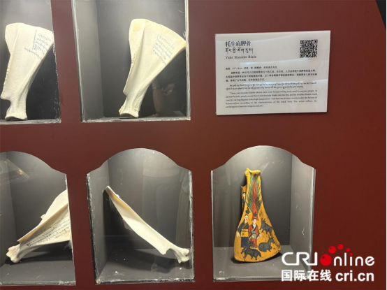 辉煌60年·我们的家园丨西藏牦牛博物馆：铭记牦牛驼载的西藏历史和文化