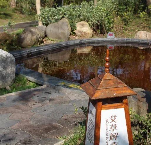 乐游绵阳 清凉一夏 ‖ 抓住暑假的尾巴~激情冲浪+泡泡派对+非遗手作......带娃快乐过暑假！