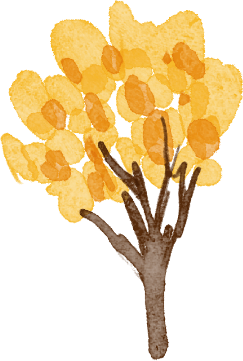 层林尽染赏秋时！宝山11月文旅活动清单，超多活动等你来打卡