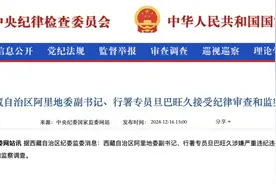 旦巴旺久被查图片