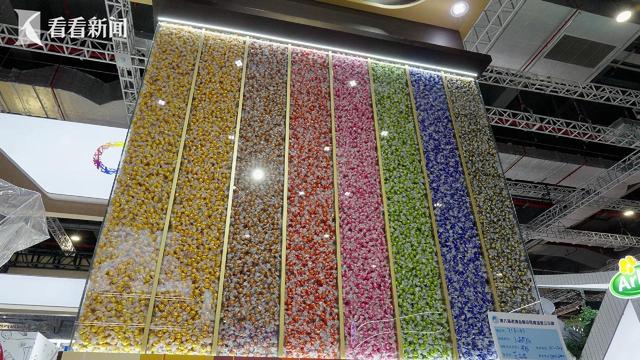 首发首秀新品扎堆 第八届进博会亮点抢先看