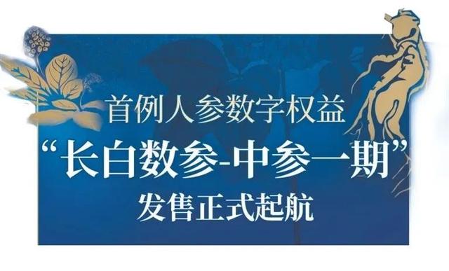 当数字普洱、数字榴莲在河南生长丨经探号