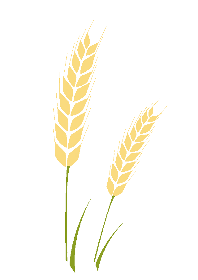 在夏威夷偶遇中国痕迹，这波发现也太惊喜了！