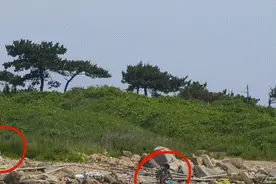 蜜月泡汤！新婚夫妻海中孤岛求救图片