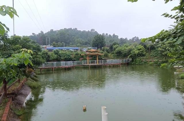 罗定喜来谷动植物生态园成为生态保护与科普的新地标