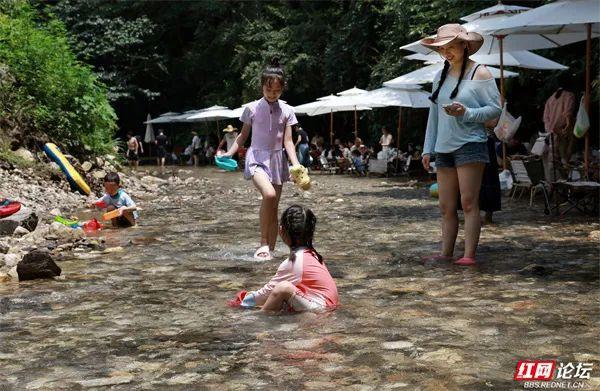 周末出走计划：浏阳深山溯溪营地，承包一整夏的清凉
