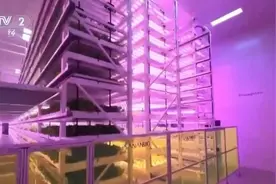 设施农业“玩”出新花样 百姓“菜篮子”“果盘子”四季安然图片