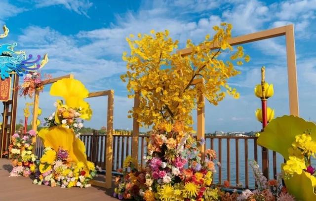 建议收藏！开封菊花文化节6大赏菊线路“出炉”→