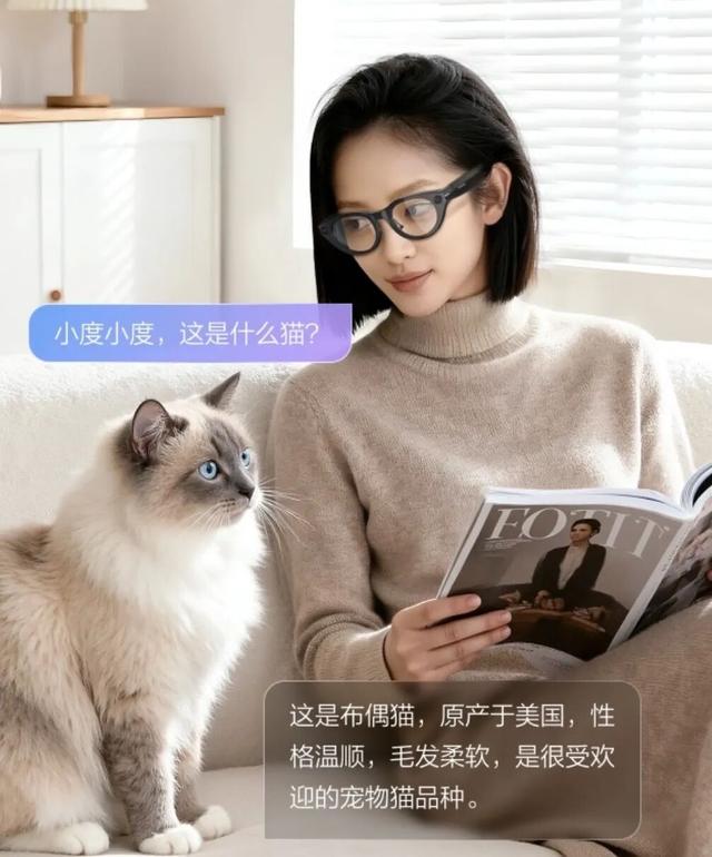 刚刚，百度AI眼镜开售，2199元，今天定明天到手