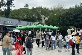 紧急提醒：提前预约、购票！厦门这些地方人人人我人人人……图片