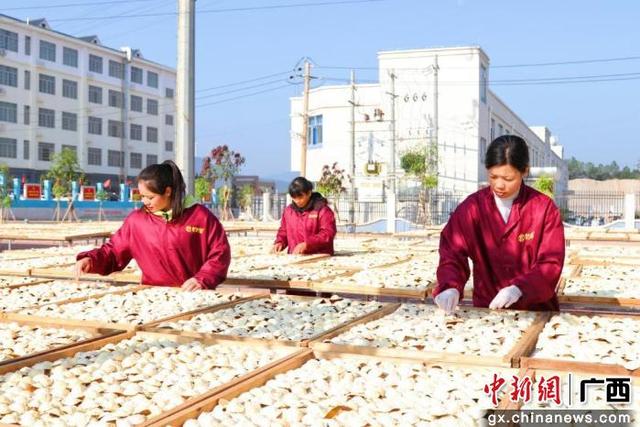 广西文旅奏响高质量发展“智”强音