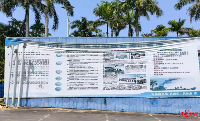 广西钦州三娘湾 “出海观豚” 乱象：十余艘船围堵，小海豚遭追后死亡，有船长称看不到退票，怕亏钱不停追