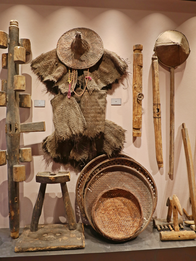 全新升级！鲤城这座百年宗祠，竟藏着三个展馆