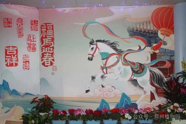 迎春花展元旦开展！郑州植物园邀您沉浸式打卡新年限定花海