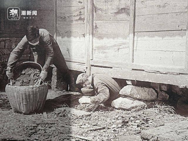 世界粮食日：打开浙江粮食文化数字地图，解锁浙里“粮”辰美景