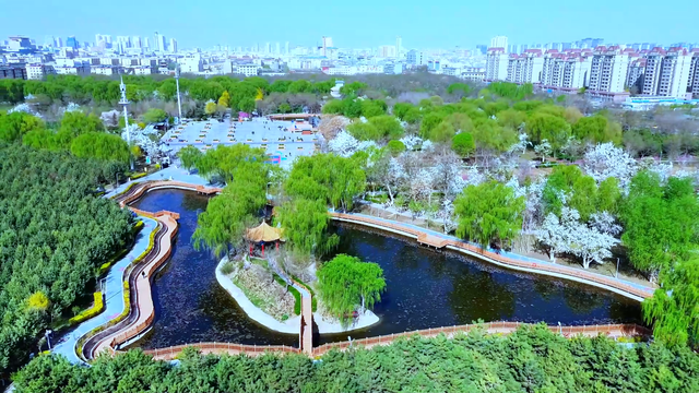 组图丨凉州植物园：夏荫消暑 荷风送香