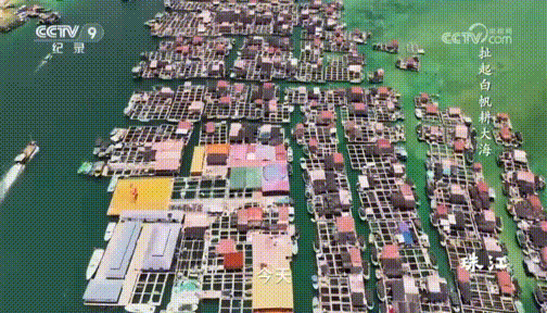 央视热播纪录片《珠江》中的南沙→