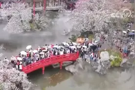“数字+文化+影视+生态”多核驱动赋能入境游 中高端市场释放多元潜力图片