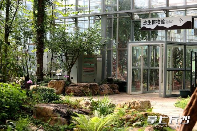 寒冬腊月依然根壮叶绿，省植物园沙生王国邀你来打卡｜组图