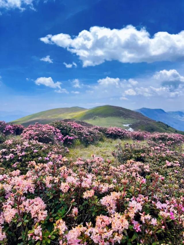 【跟着戏剧节游凉山】以戏剧为媒，探凉山之美（东线剧场）