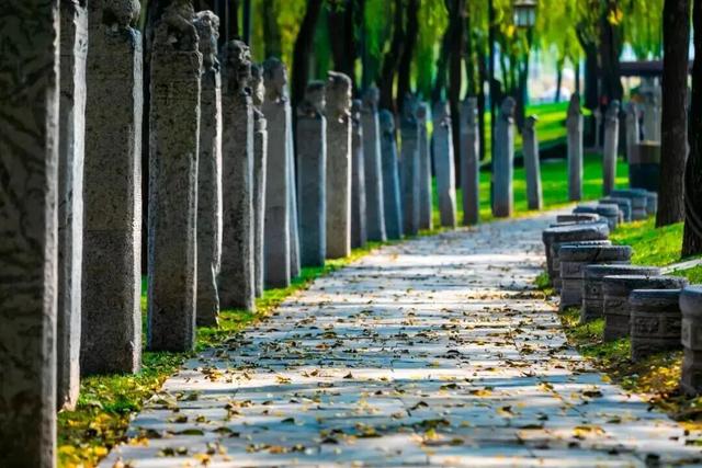 落叶缓扫，在曲江邂逅一场初冬浪漫！