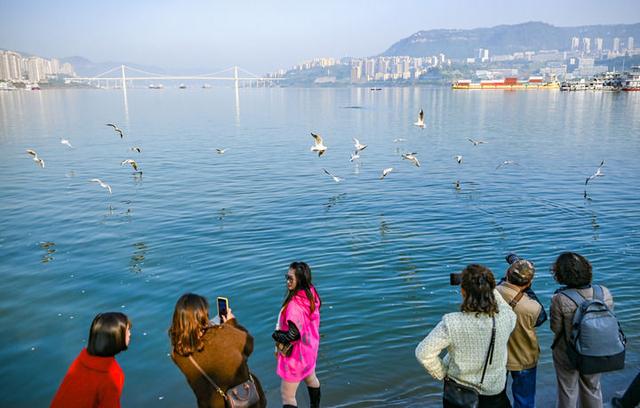 品读“万川毕汇之州”——三峡名城万州的城市蝶变之路