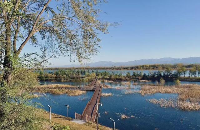 杨凌美成“调色盘”！你爱了吗？