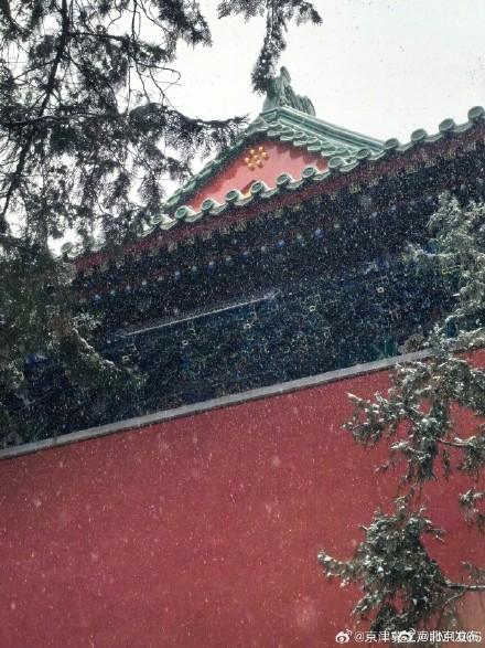 北京初雪把颐和园泼成水墨长卷
