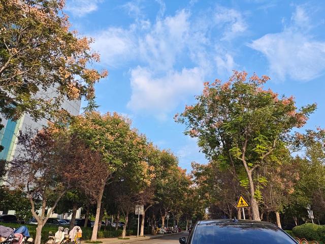 云开雨歇淄博蓝 一城秋色入画来