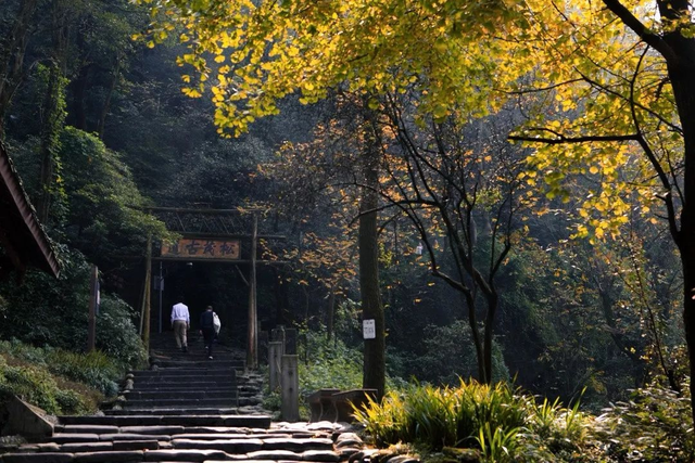 秋天必须这样耍！都江堰限定美景即将上线