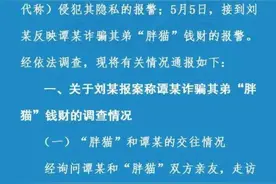 警方通报“胖猫”事件调查详情：谭某不构成诈骗犯罪图片
