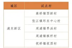 全市试点！闵行这里因“四美”入选！图片