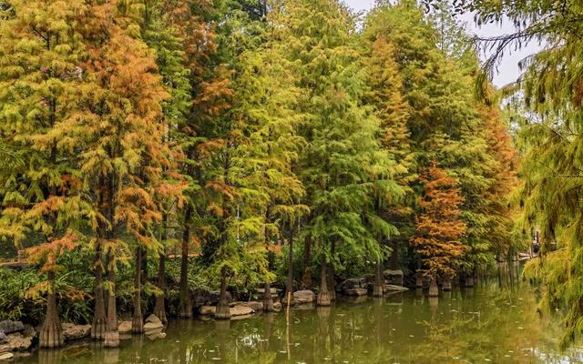 南宁市石门森林公园换上限定 “彩装”