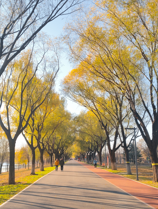 白浮泉冬韵图：湖山隐淡墨，一景一诗行