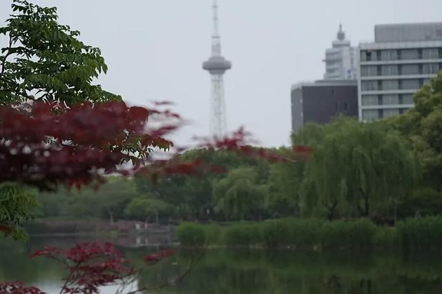 一“骑”出发吧！解锁青浦这些宝藏骑行路线