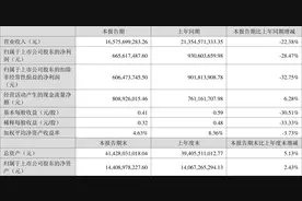 江苏国泰：2023年上半年净利润6.66亿元 同比下降28.47%图片