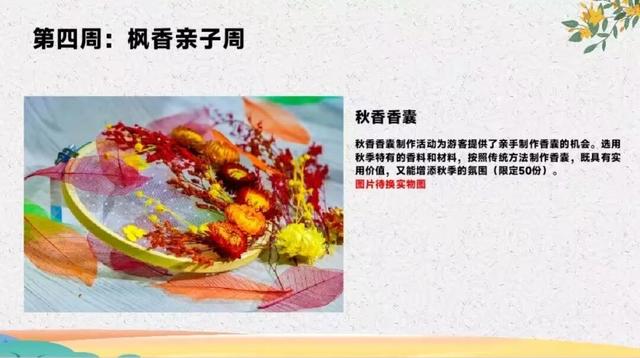 栖霞山红叶实拍+周末活动，不信你不动心！