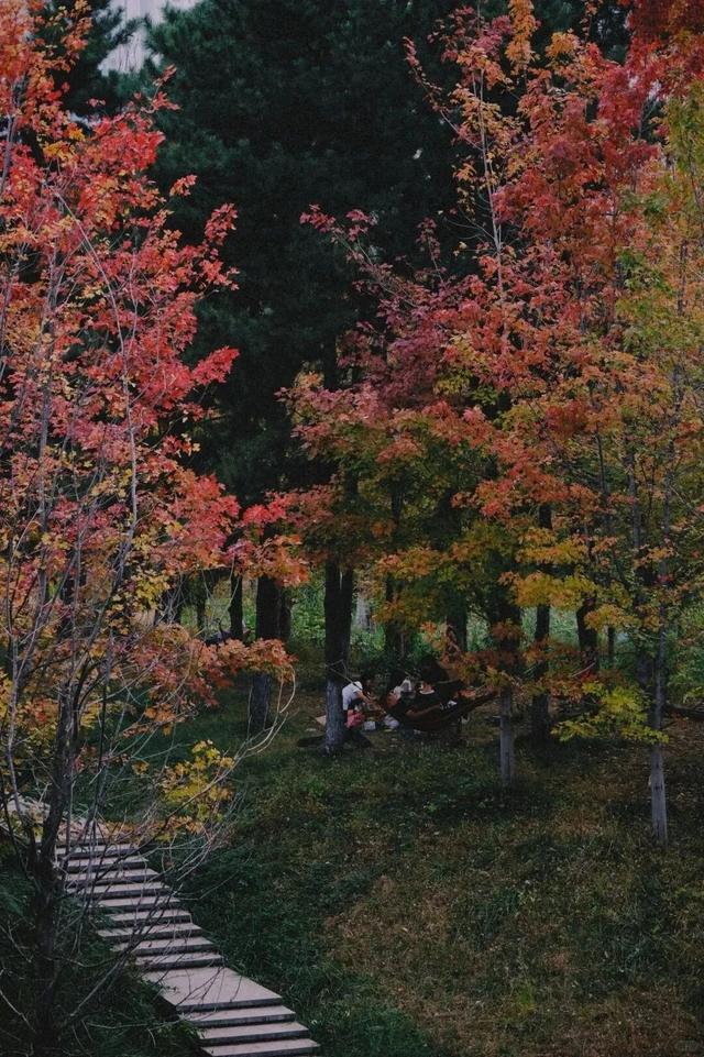 西安上新！高颜值秋景，正在加载！
